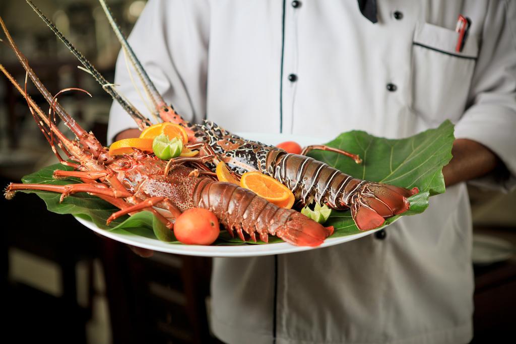 Lavendish Okrin Hotel كاتاراغاما المظهر الخارجي الصورة